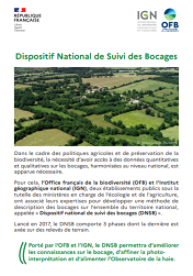 DNSB